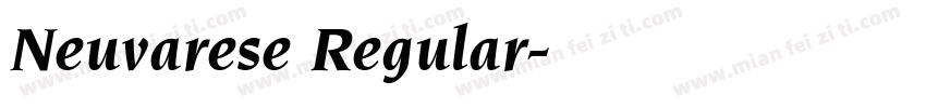 Neuvarese Regular字体转换